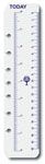 DAYPLANNER TODAY RULER DESK SIZE 7011938