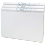 AVERY 166007 QUICKVUE FILES WITH LABELS BOX 50