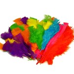COLORIFIC FEATHERS LARGE ASSORTED 30G