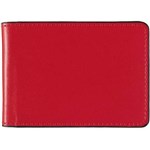 DEBDEN ACCENT BUSINESS CARD HOLDER 24 SLOT RED