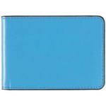 DEBDEN ACCENT BUSINESS CARD HOLDER 24 SLOT LIGHT BLUE