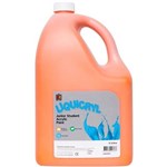 EDUCATIONAL COLOURS LIQUICRYL JUNIOR STUDENT PAINT 5 LITRE ORANGE