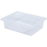 ELIZABETH RICHARDS PLASTIC TOTE TRAY CLEAR