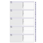 DEBDEN DAYPLANNER EXECUTIVE EDITION REFILL AZ TABS