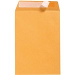 OFFICE NATIONAL C4 ENVELOPES POCKET PLAINFACE STRIP SEAL 80GSM 324 X 229MM GOLD BOX 250