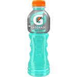 GATORADE ARCTIC BLITZ PET 600ML CARTON 12