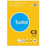 TUDOR C3 ENVELOPES POCKET PLAINFACE STRIP SEAL 100GSM 458 X 324MM GOLD PACK 25