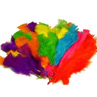 Feathers and Accessories