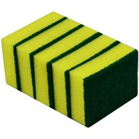 Sponges and Scourers