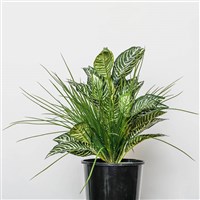 Artificial Plants